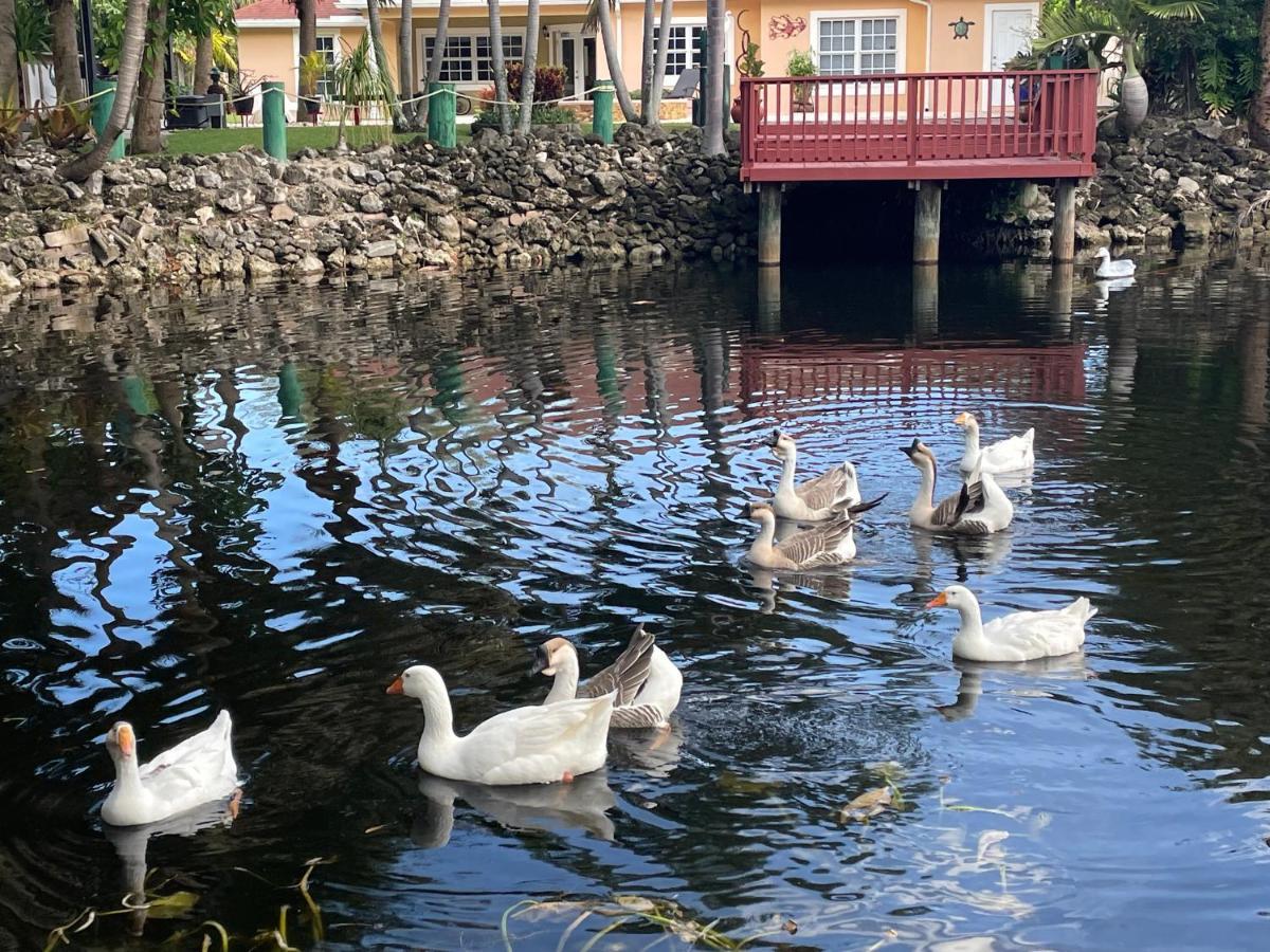 The Sanctuary House West Palm Beach Exteriör bild